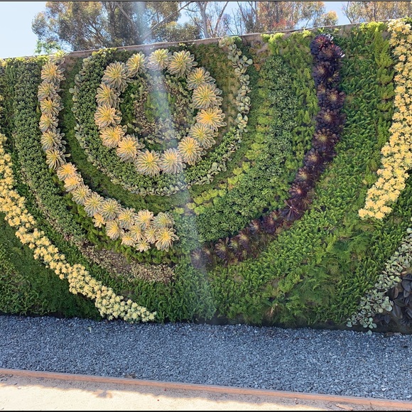 Limited time offers! - Picture 1 of 1